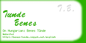 tunde benes business card